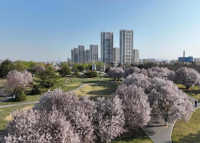 新泰春日花海地图:3月到5月全花期打卡指南