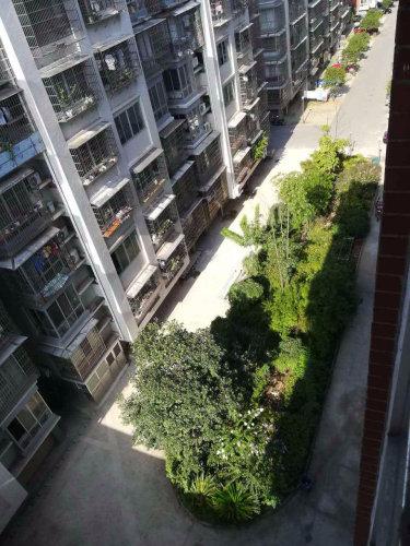 新泰小区